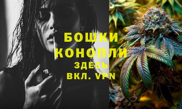 apvp Осташков
