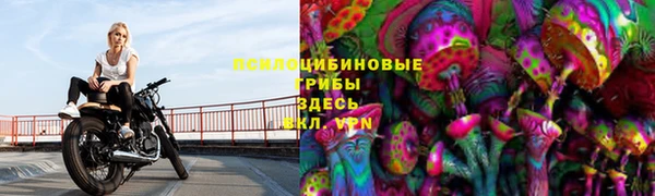 apvp Осташков