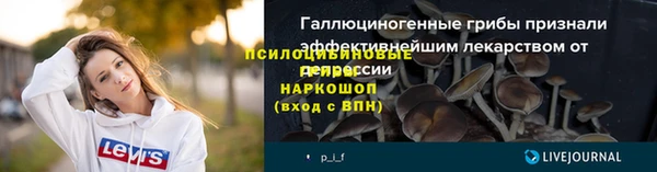индика Остров