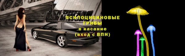 индика Остров