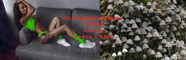 индика Остров