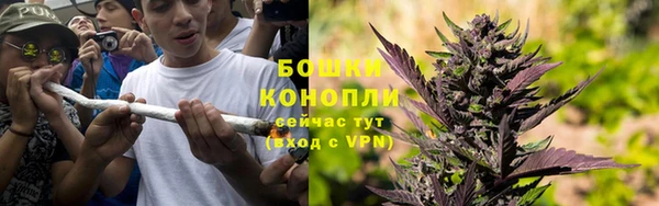 индика Остров