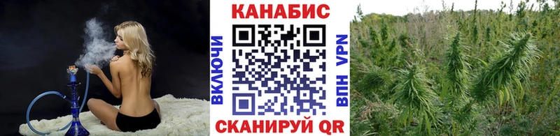 Бошки марихуана AK-47 Андреаполь